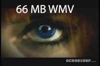 Download the 66MB WMV version