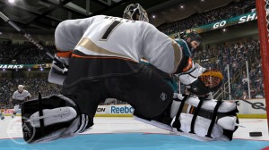 Hiller blocking a shot