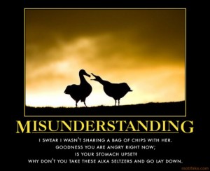 misunderstanding-nagging-problem-women-bird-plus-alka-seltze-demotivational-poster-1288971410