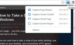 Google Screen Capture