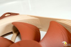 Detail Stepped Inlet Flow Channels and Golfball dimples