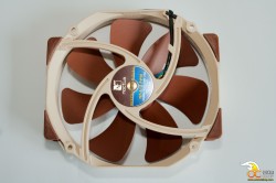 NF A15 PWM Back