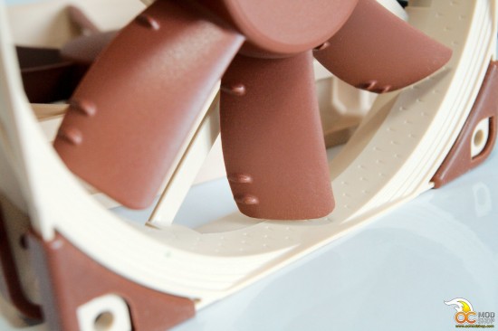 Fin detail 1