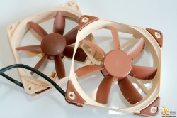 Small fan big fan