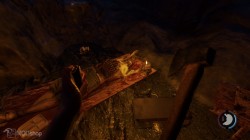 Disembowelled Survivor