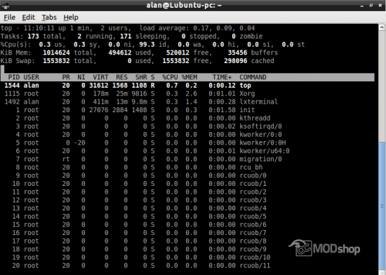 Lubuntu top command