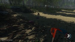 Native Spotted Me