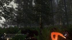 Scouting Around