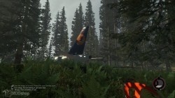 Tail end of Plane