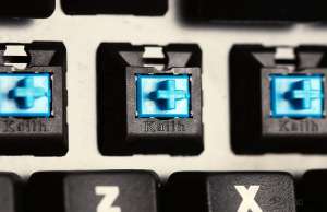 Kailh Blue Switches Closeup